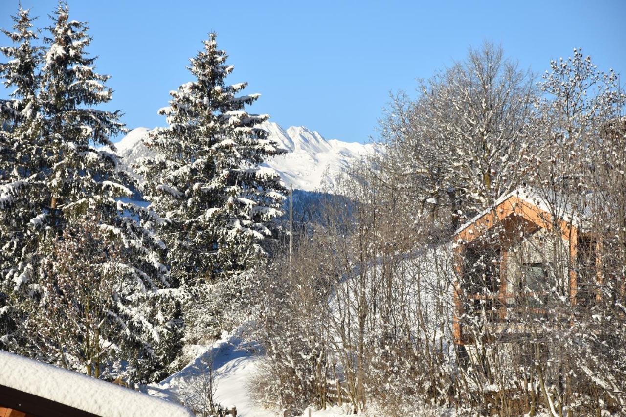 Chalet & Appartement Zingerlehof Trens Campo di Trens Extérieur photo