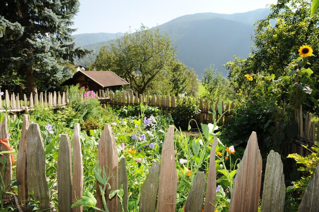 Chalet & Appartement Zingerlehof Trens Campo di Trens Extérieur photo