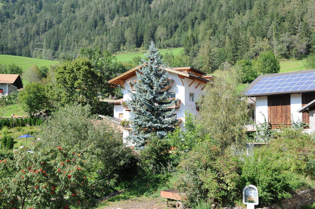 Chalet & Appartement Zingerlehof Trens Campo di Trens Extérieur photo